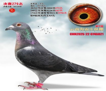 ����ׯ����279��