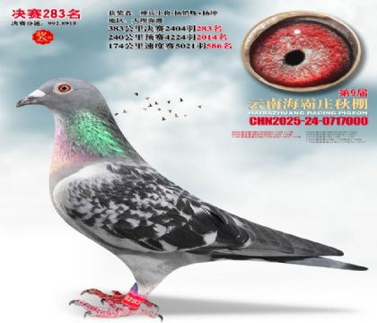 ����ׯ����283��