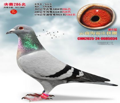 ����ׯ����286��