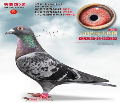 ����ׯ����285��