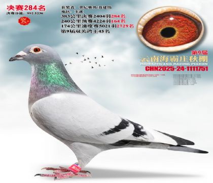 ����ׯ����284��