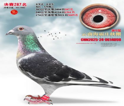 ����ׯ����287��