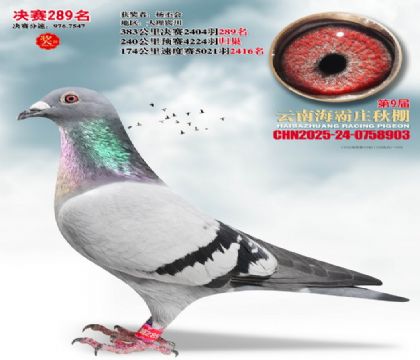 ����ׯ����289��