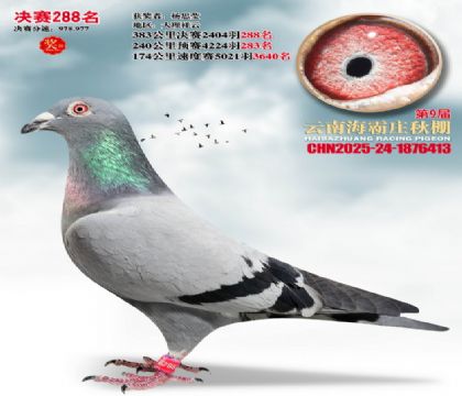 ����ׯ����288��