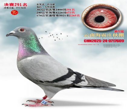 ����ׯ����291��