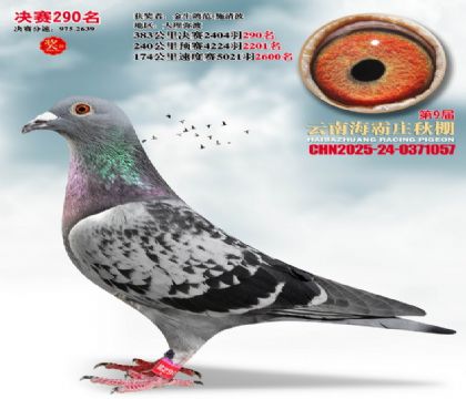 ����ׯ����290��