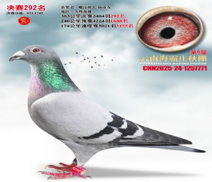 ����ׯ����292��