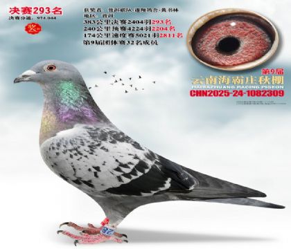 ����ׯ����293��