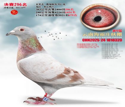 ����ׯ����296��