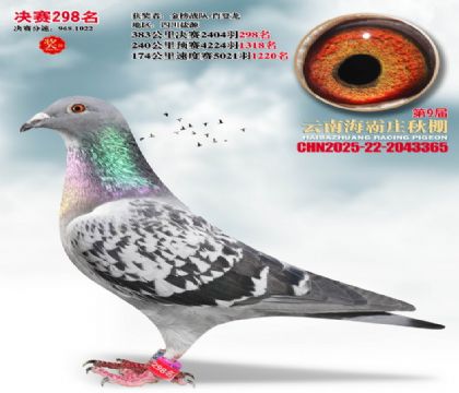 ����ׯ����298��