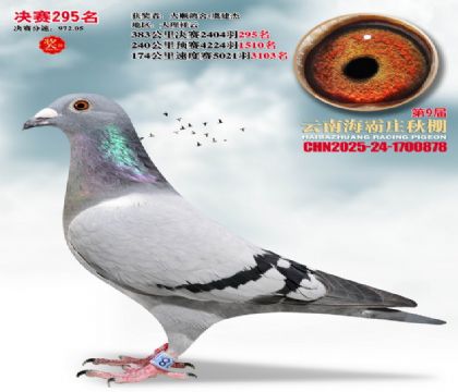 ����ׯ����295��