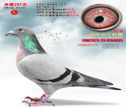 ����ׯ����297��