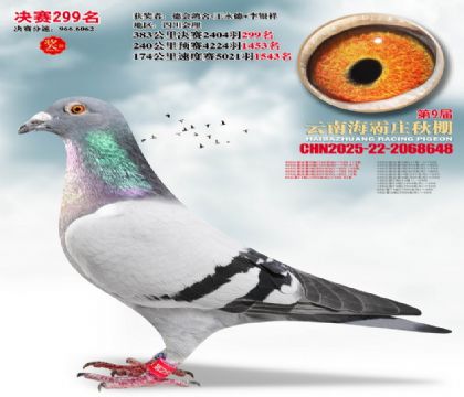 ����ׯ����299��