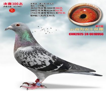 ����ׯ����300��