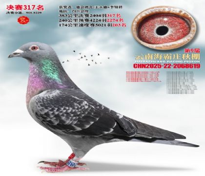 ����ׯ����317��