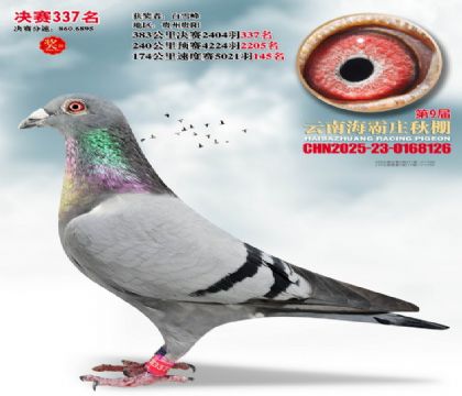 ����ׯ����337��