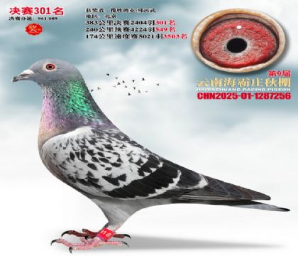 ����ׯ����301��