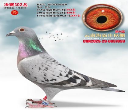 ����ׯ����302��