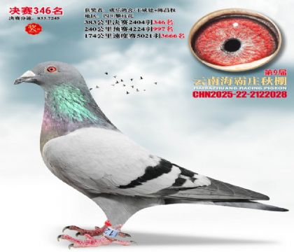 ����ׯ����346��