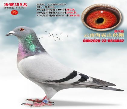 ����ׯ����359��