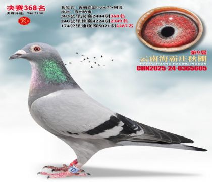 ����ׯ����368��