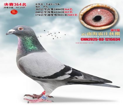 ����ׯ����364��