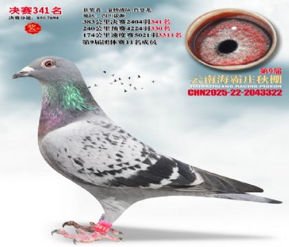 ����ׯ����341��