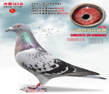 ����ׯ����363��