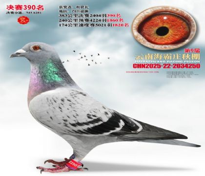 ����ׯ����390��