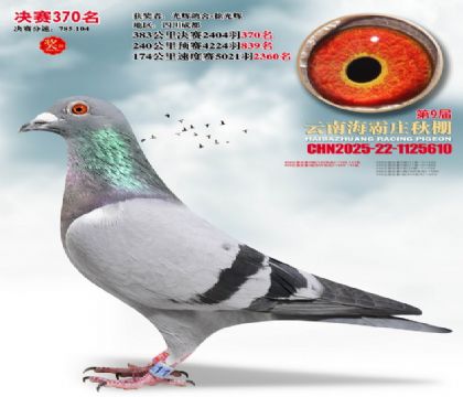 ����ׯ����370��