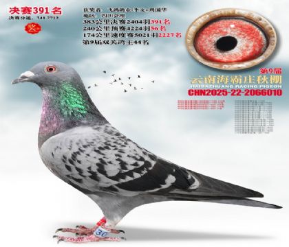 ����ׯ����391��