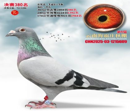 ����ׯ����380��