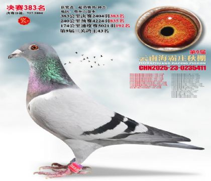 ����ׯ����383��