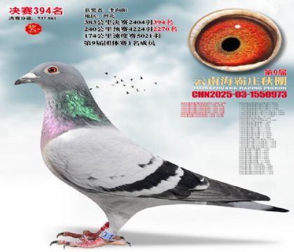 ����ׯ����394��