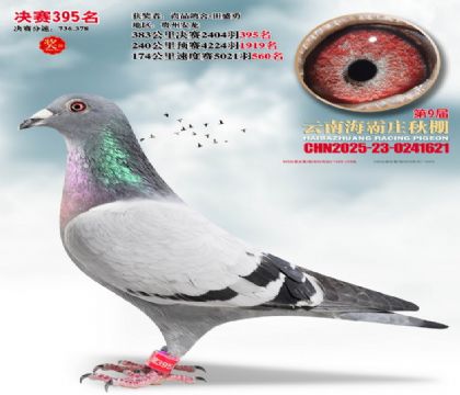 ����ׯ����395��