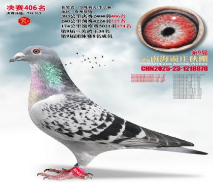 ����ׯ����406��