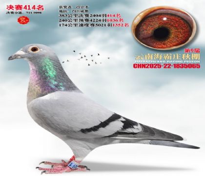 ����ׯ����414��