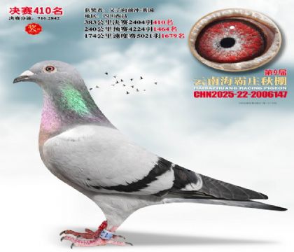 ����ׯ����410��