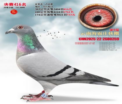 ����ׯ����416��