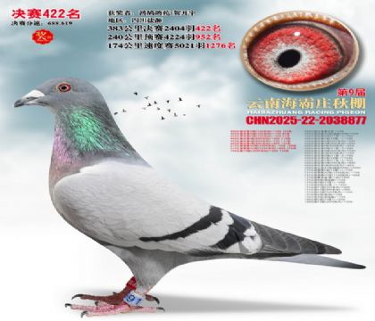 ����ׯ����422��