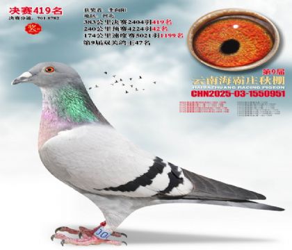 ����ׯ����419��