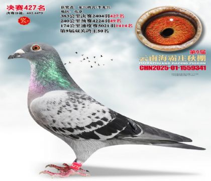 ����ׯ����427��