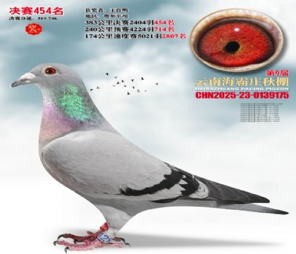 ����ׯ����454��