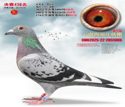 ����ׯ����438��