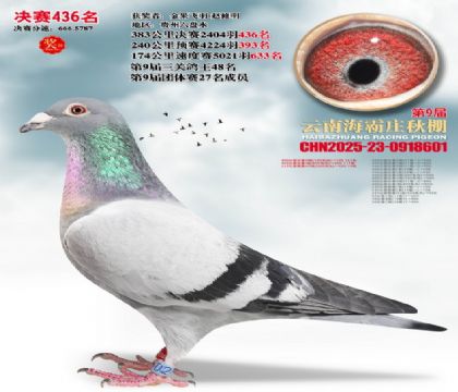 ����ׯ����436��