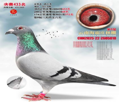 ����ׯ����433��