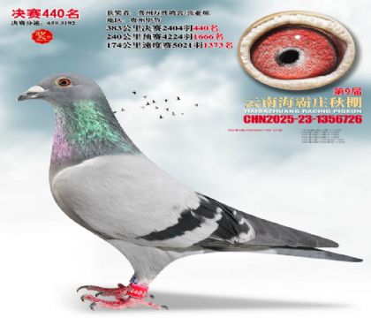 ����ׯ����440��