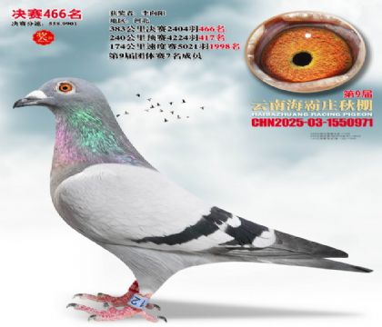 ����ׯ����466��