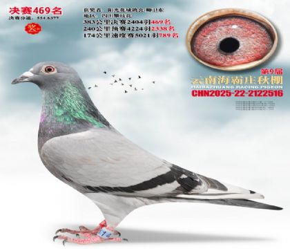 ����ׯ����469��