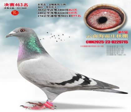 ����ׯ����463��